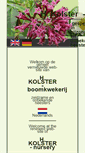 Mobile Screenshot of hkolster.nl