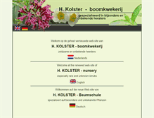 Tablet Screenshot of hkolster.nl